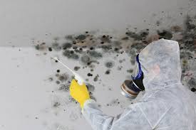 Best Mold Prevention Services  in Lake Mary, FL